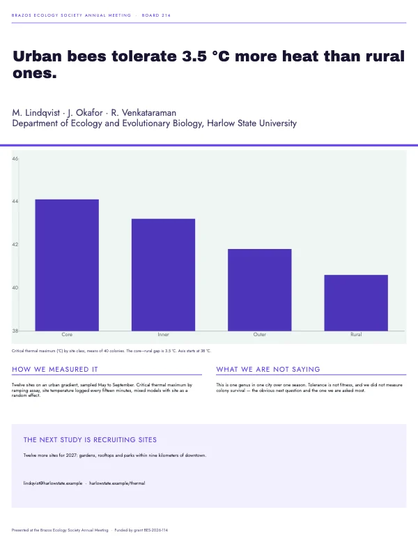 Violet and Mint Conference 36 × 48 Academic Poster