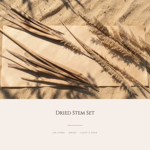 Blush and Oat Elegant 2000×2000 Etsy Listing Photo