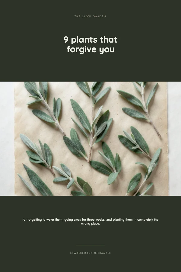 Sage and Bone Clean 1000×1500 Pinterest Pin